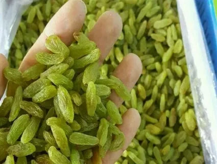 تصویر 2 از کشمش سبز قلمی ویژه آجیل